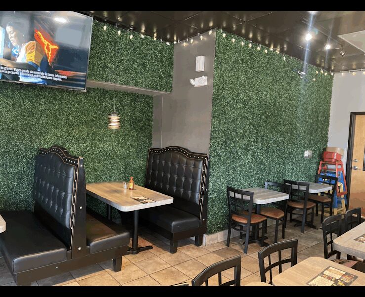 El Salsa’s Mexican Grill