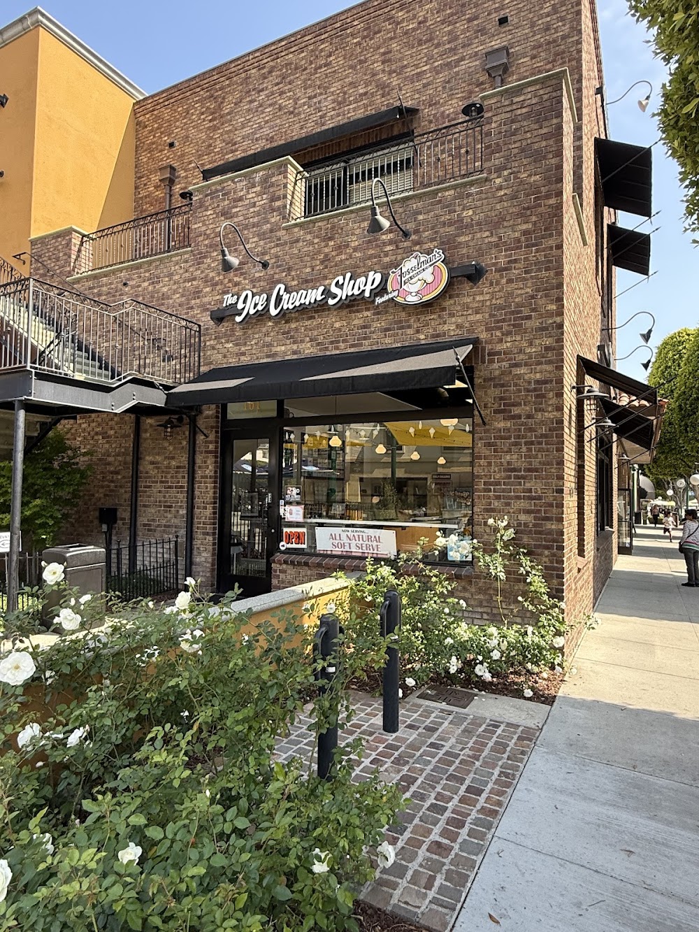 The Ice Cream Shop